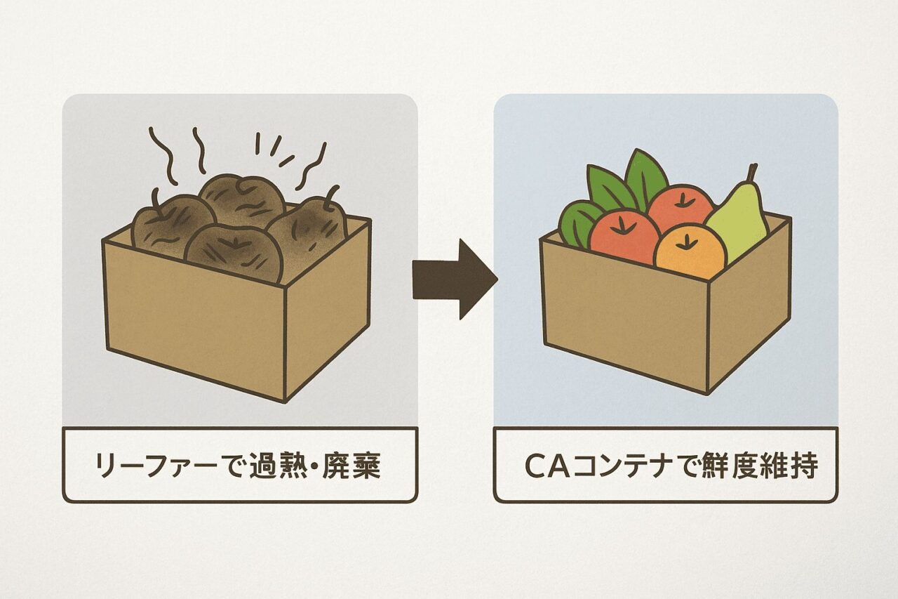 caコンテナとリーファーコンテナ